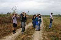 Waco Wetlands 014 